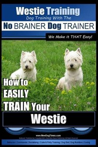 Westie training dog - westie,