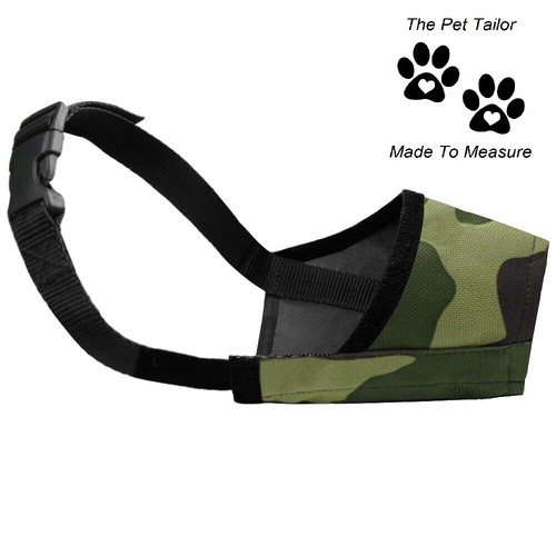 Westie dog muzzle army - dog,