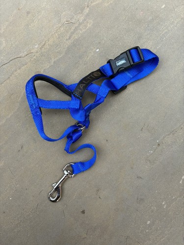 Blue halti dog - halti, headcollar