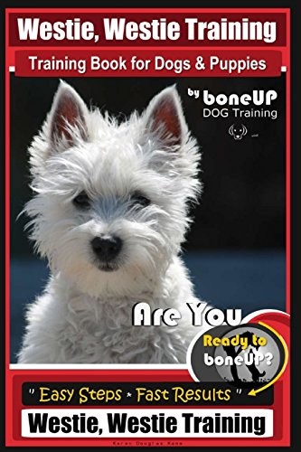 Westie training - westie,,