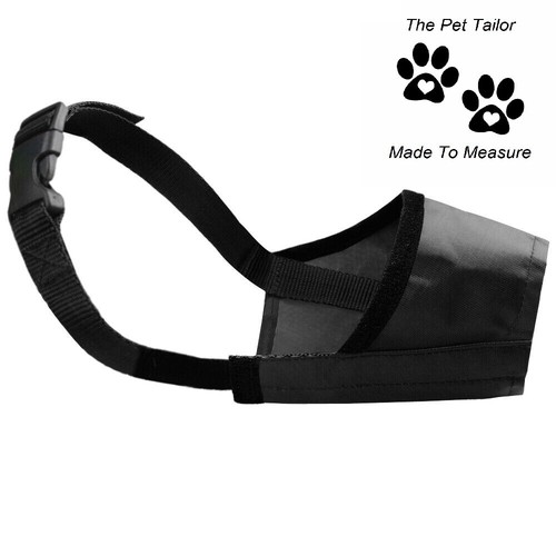 Westie dog muzzle black nylon - dog,