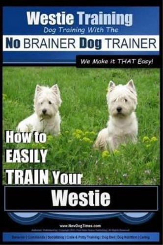 Westie training dog - ,