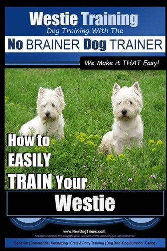 Westie training dog - dog,