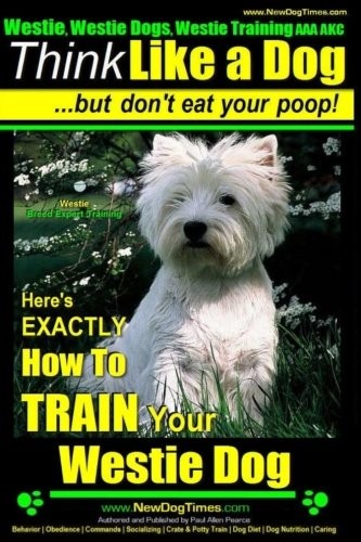 Westie dogs - dogs,,